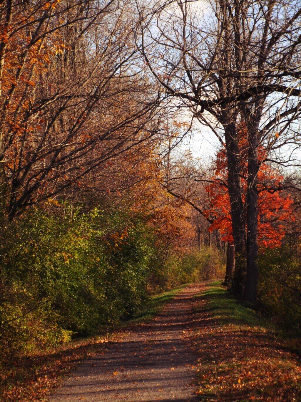 Photo: Path
