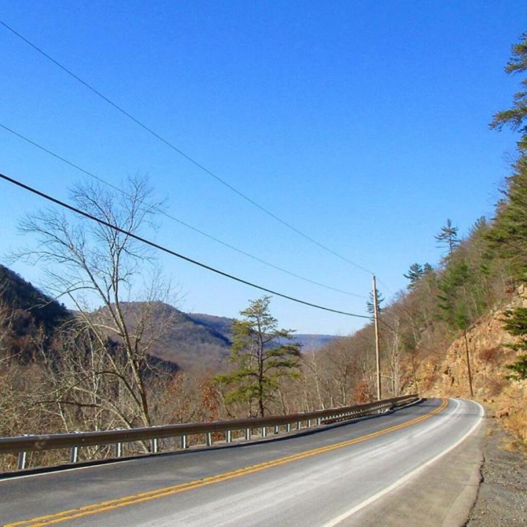 Photo: Elk Scenic Drive