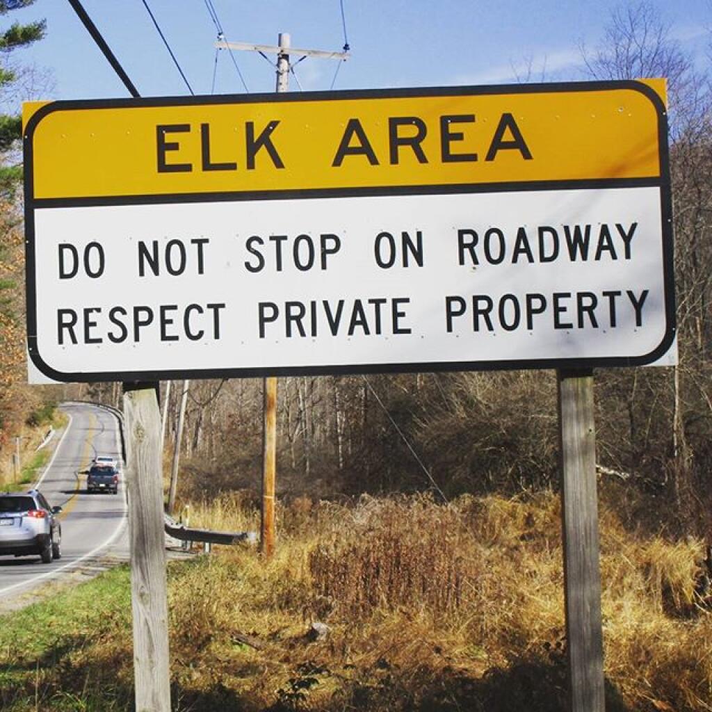 Photo: So are you supposed to hit them? #elklivesmatter