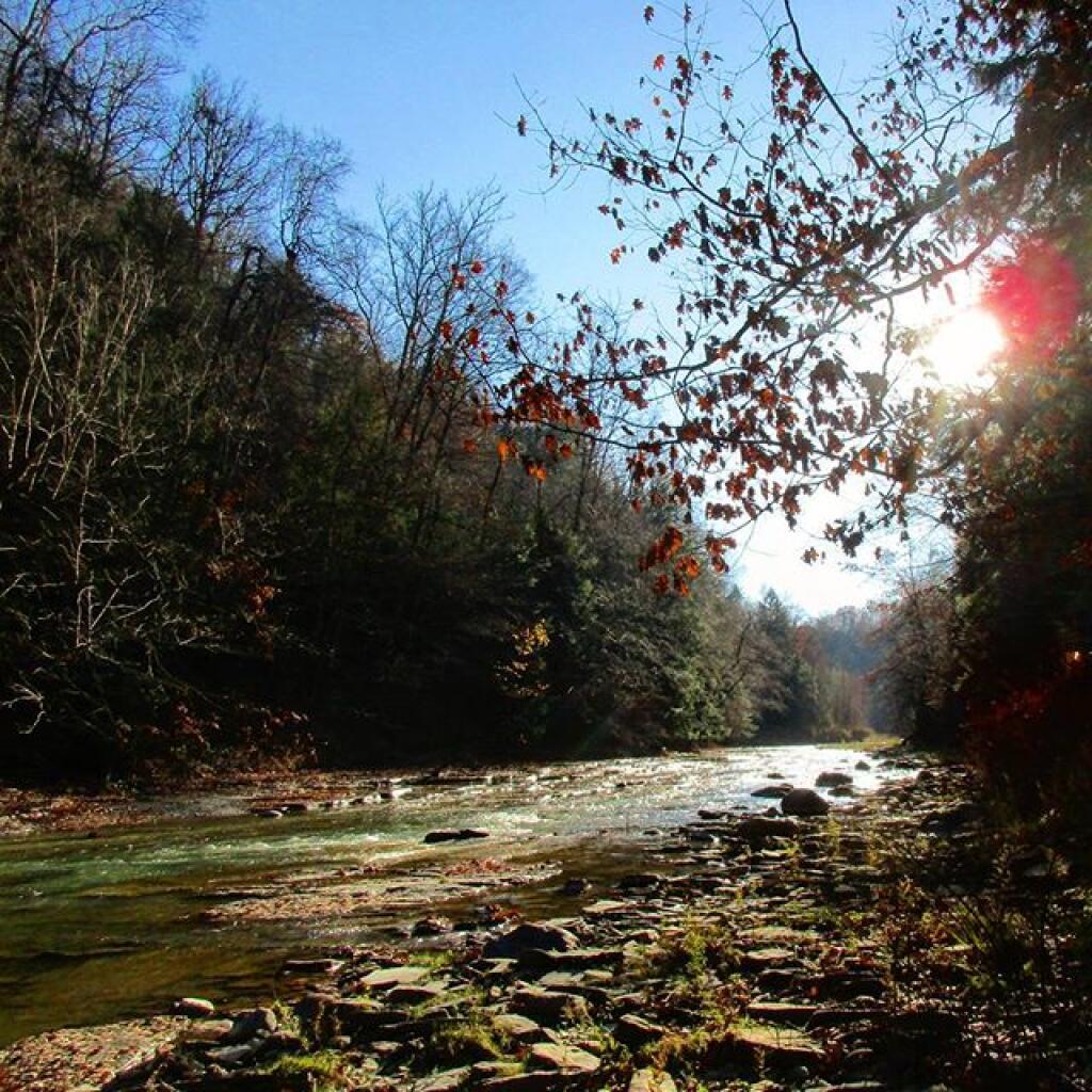 Photo: South Branch of the Cattaraugus Creek Photo: South Branch of the Cattaraugus Creek