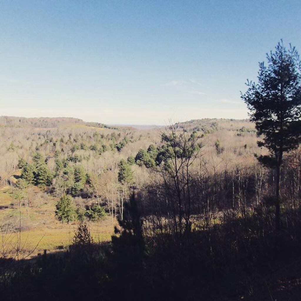 Photo: Restored coal mines, now Elk Habitat