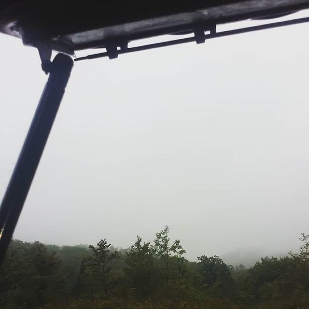 Photo: Foggy and damp