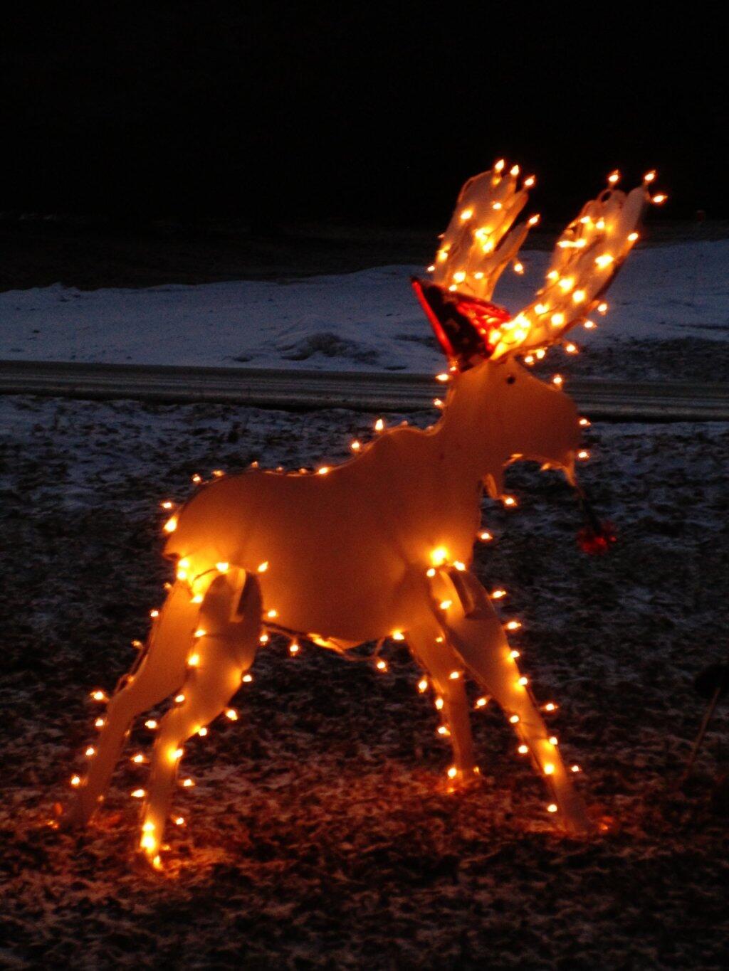 Photo: Christee Moose