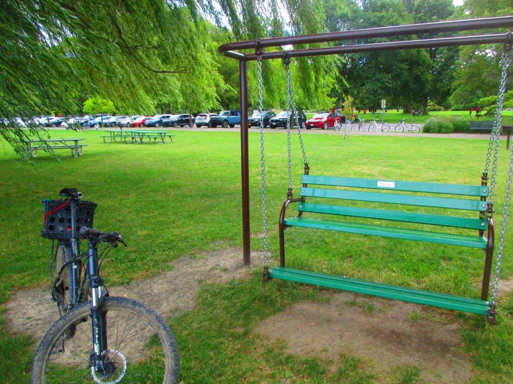Photo: These swings rock Photo: These swings rock