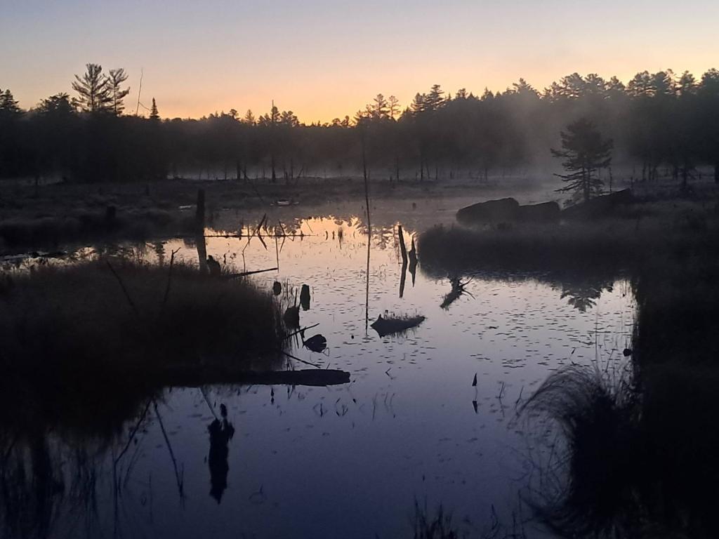 Photo: East Pine Pond