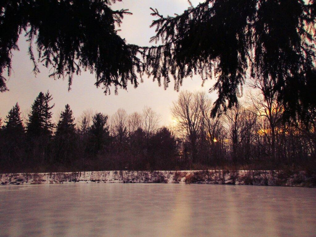 Photo: Pond