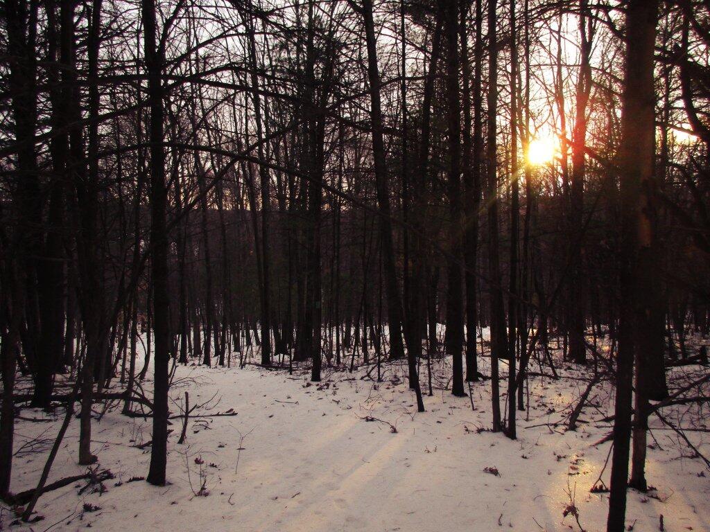 Photo: Sun Breaks Out