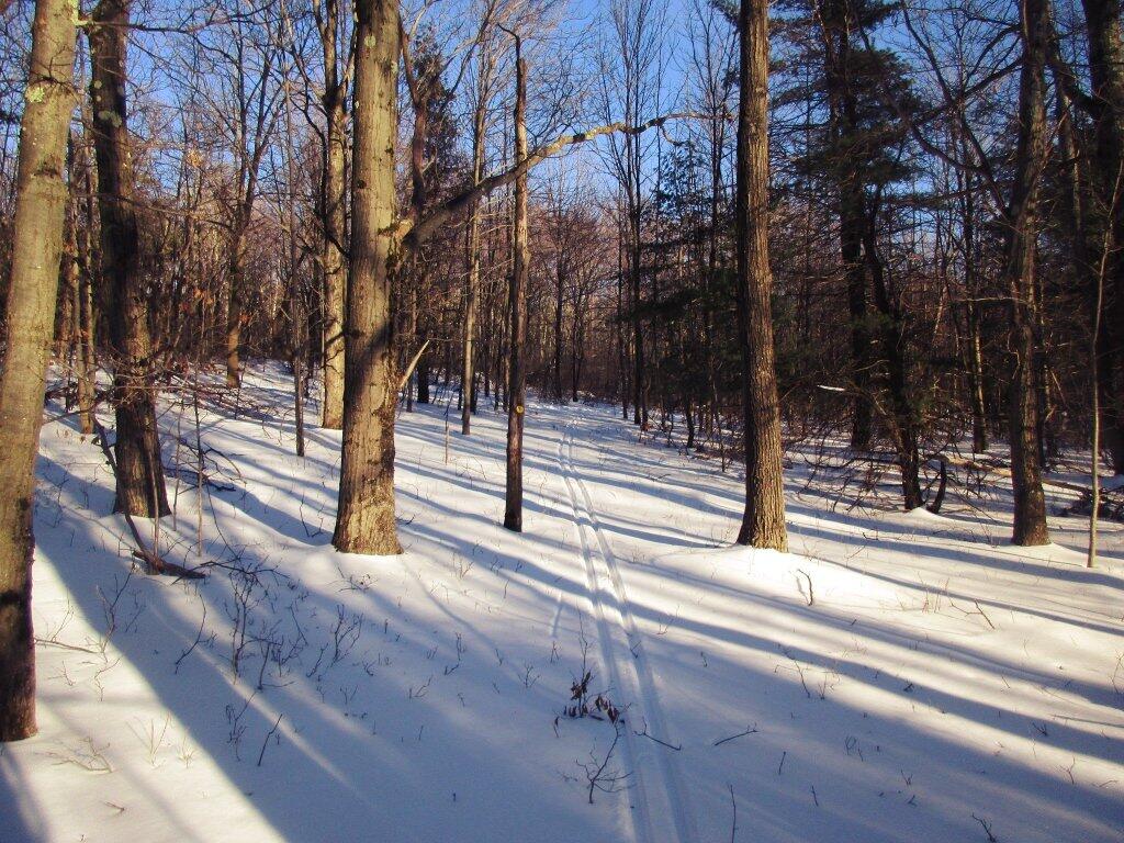 Photo: First Tracks