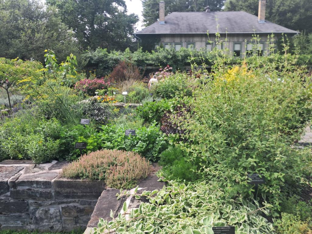 Photo: Herb Gardens