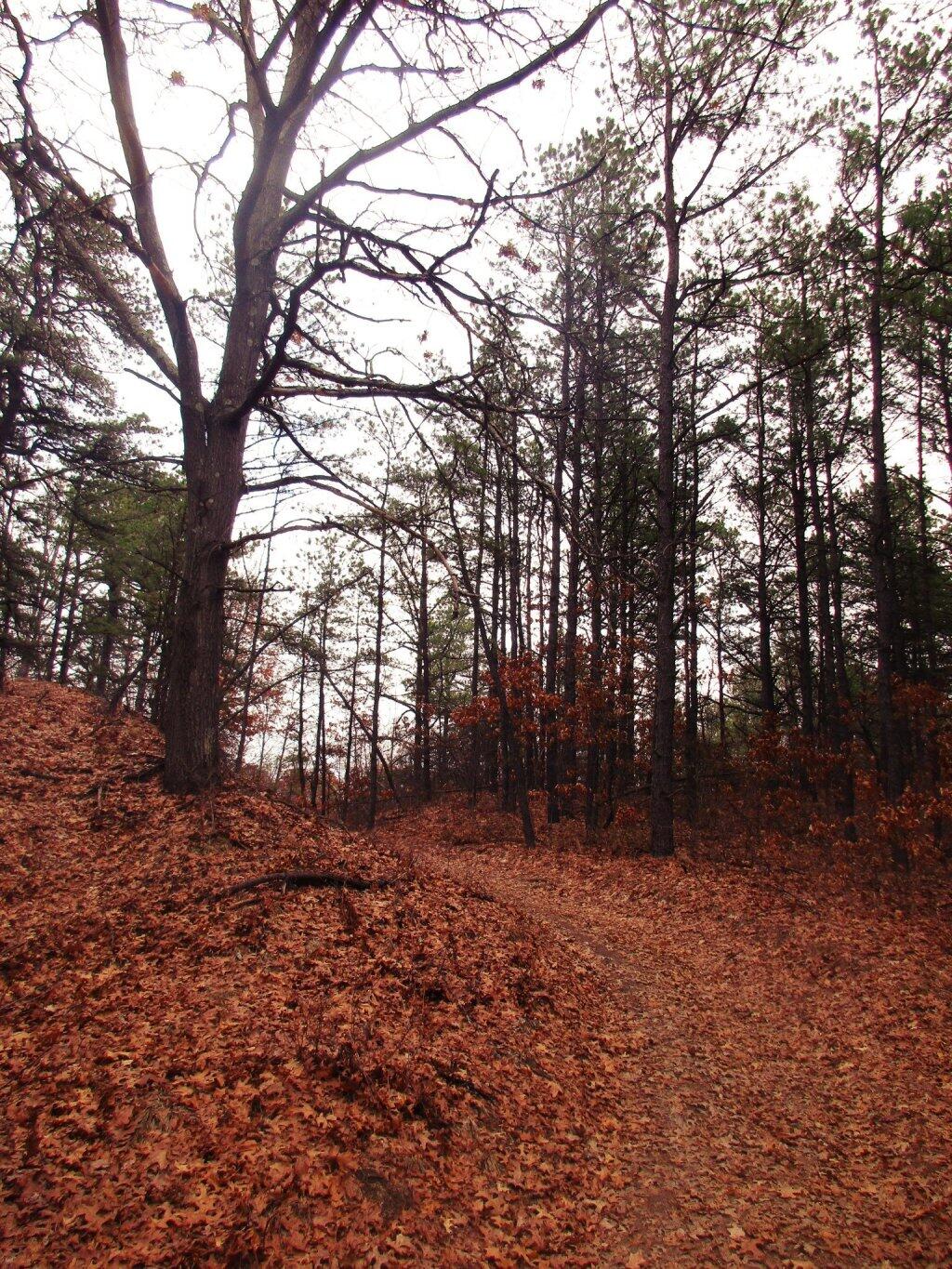 Photo: Bend
