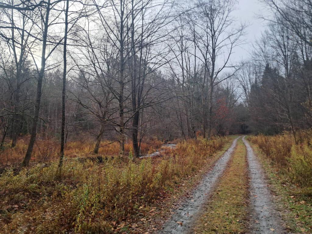 Photo: Betty Brook Road