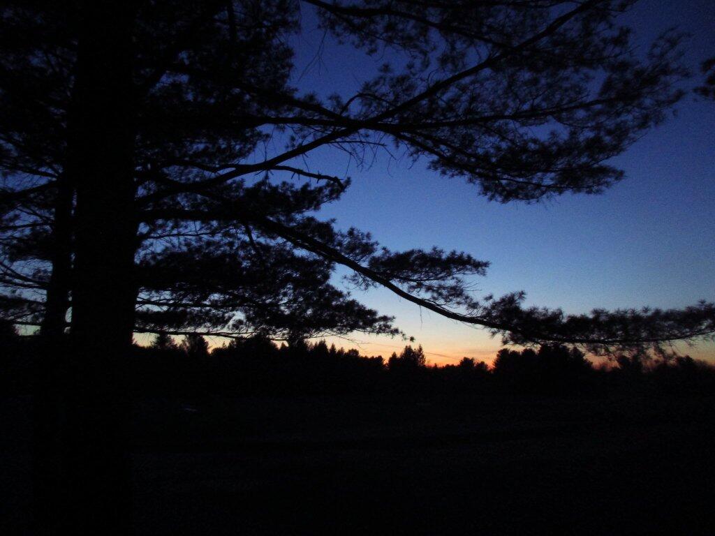 Photo: Dusk