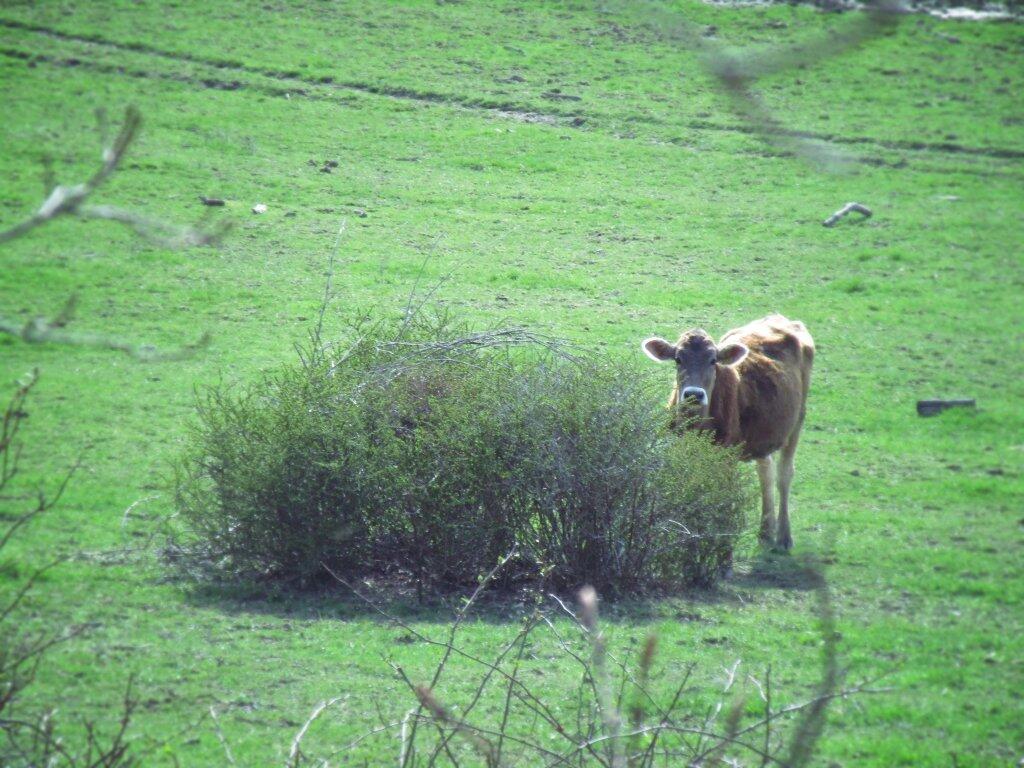 Photo: Hide And Go Seek