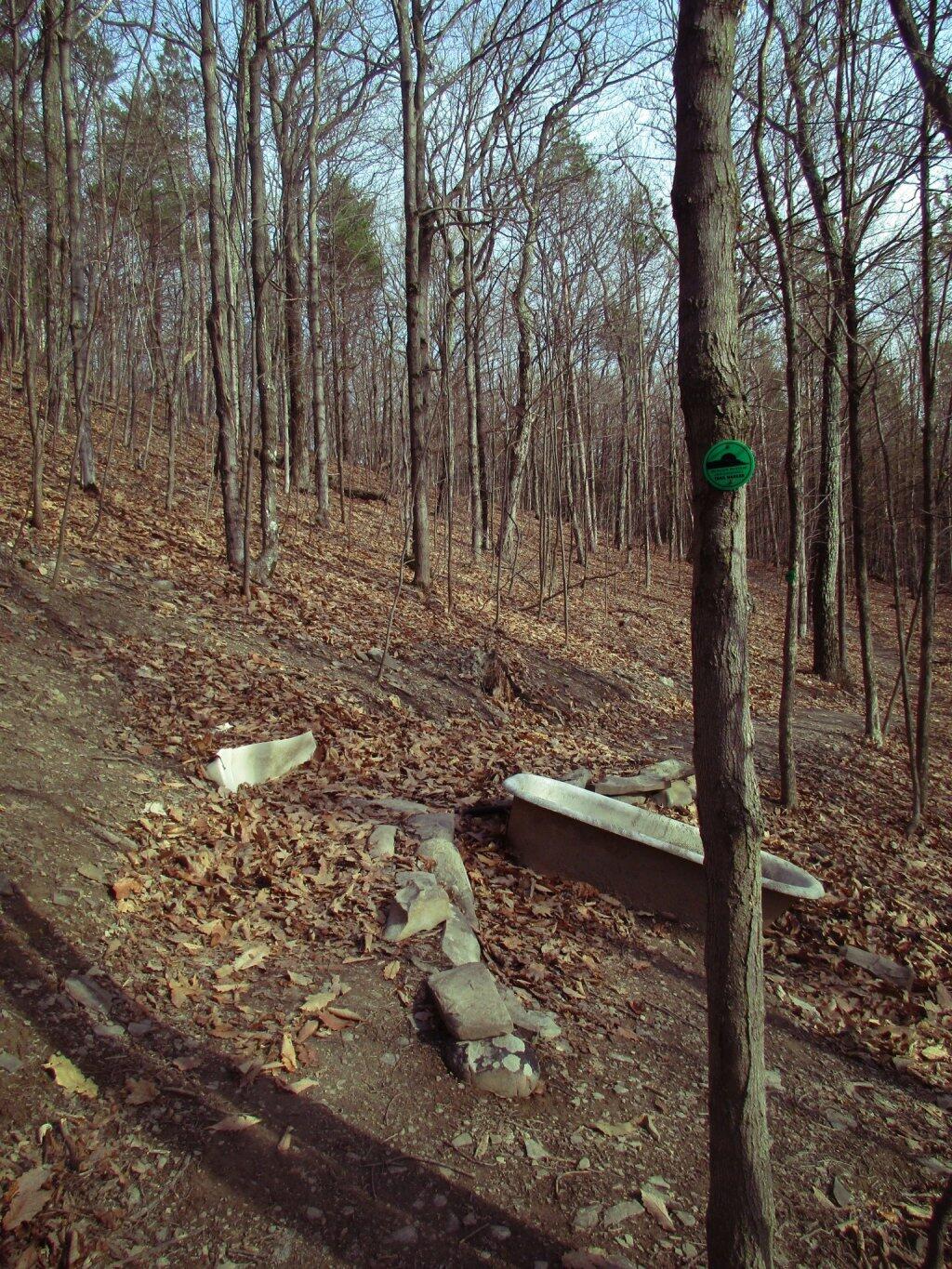 Photo: Relocated Trail