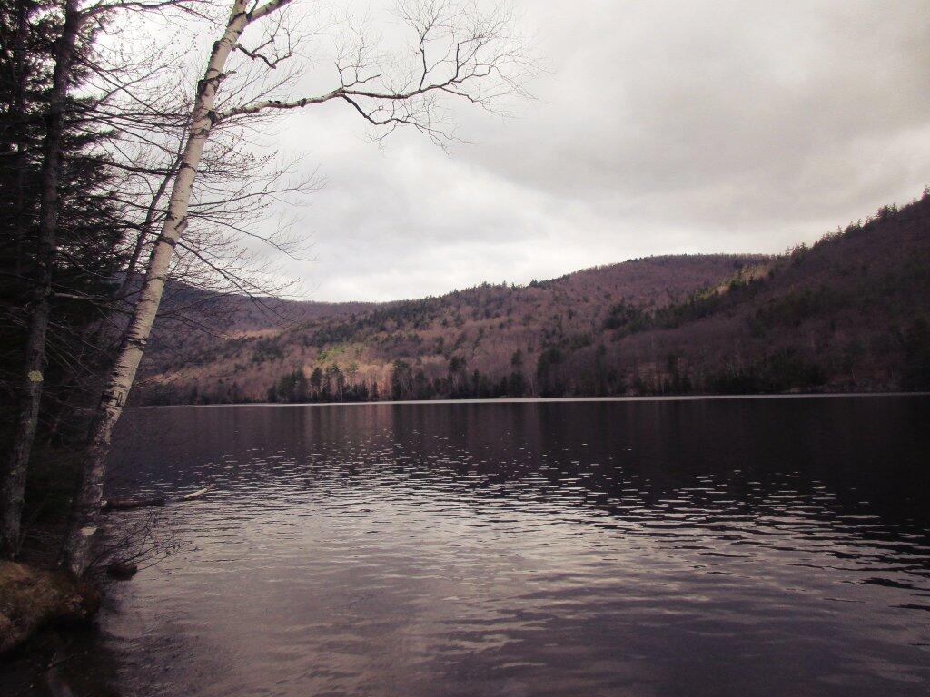 Photo: Shoreline