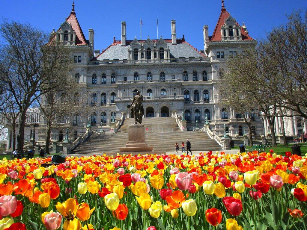 Photo: Capitol