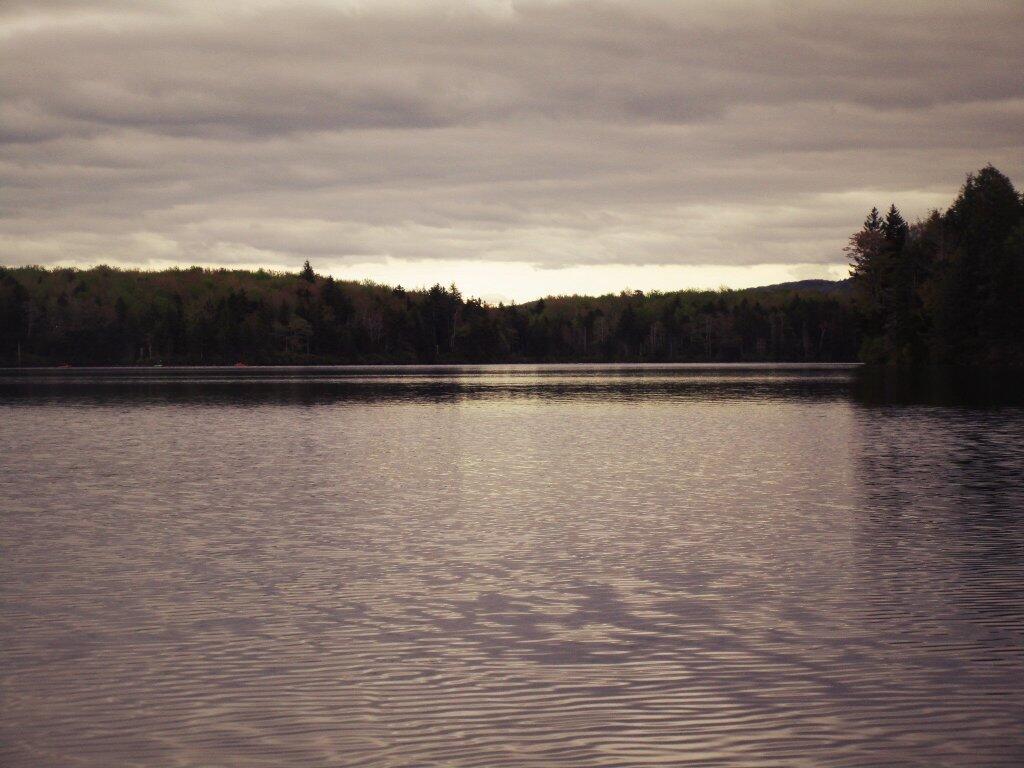 Photo: Clearing To The South