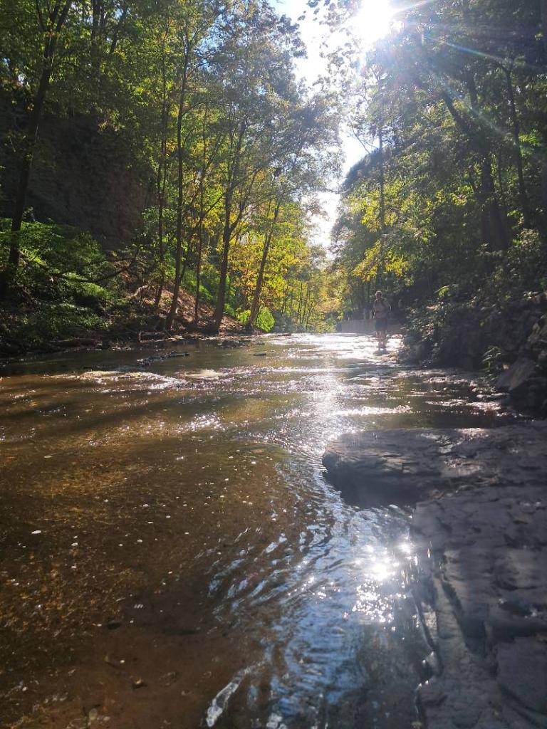 Photo: Sparkly in the Gorge