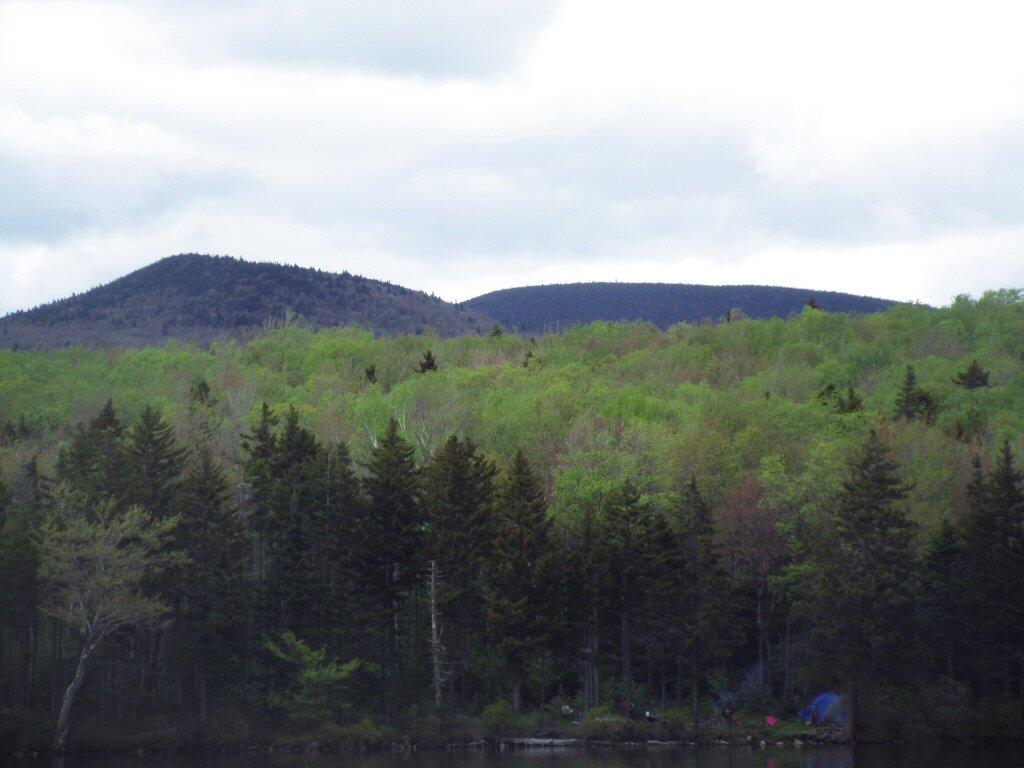Photo: Grout Pond Campsites