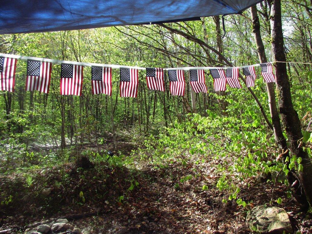 Photo: Flag Banner