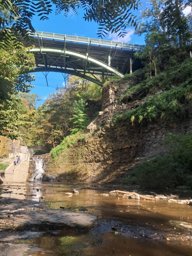 Photo: Spring Street Bridge from Below
