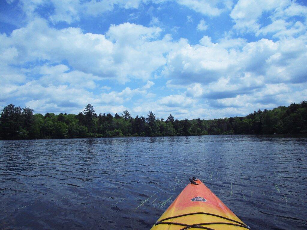Photo: Paddling Along