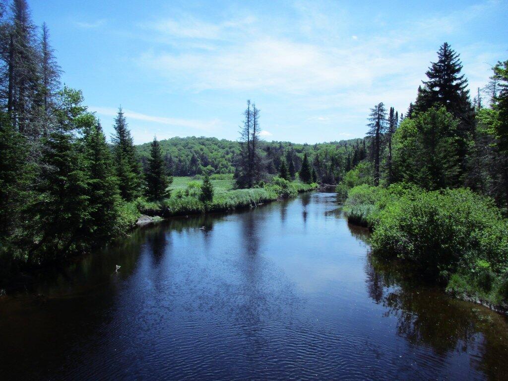 Photo: East Canada Creek