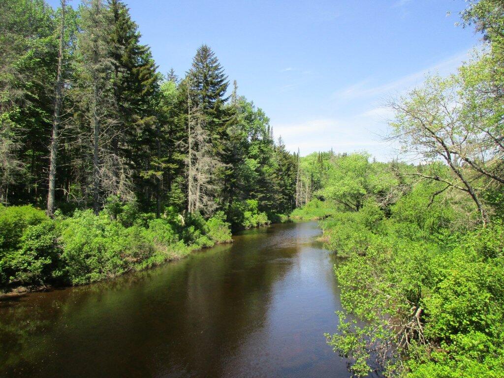 Photo: Upstream