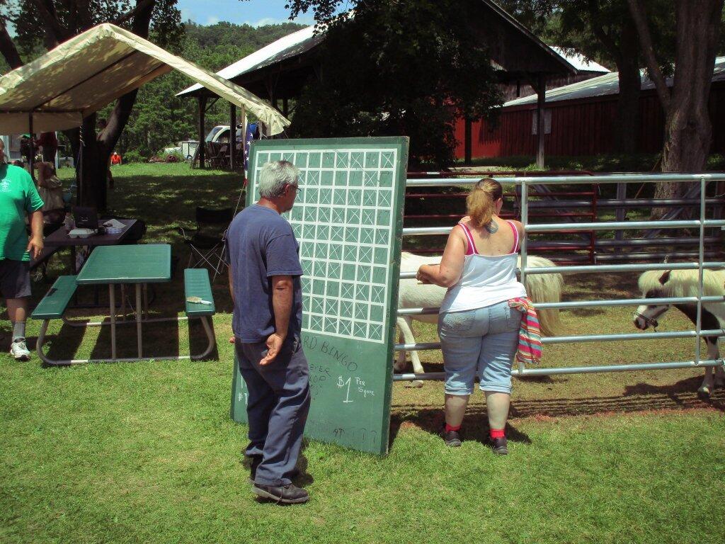 Photo: Barnyard Bingo