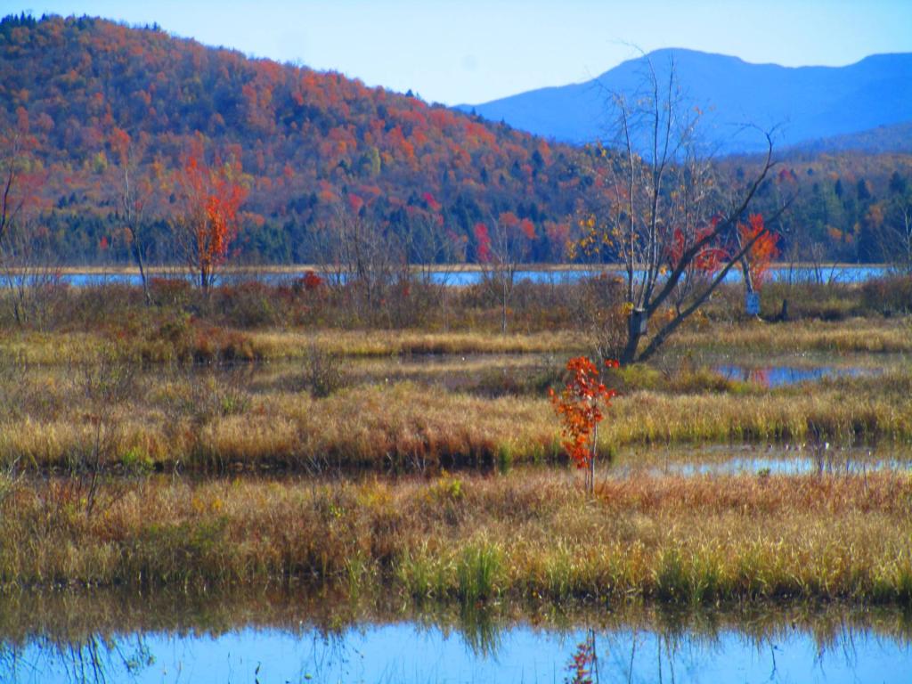 Photo: Raquette River