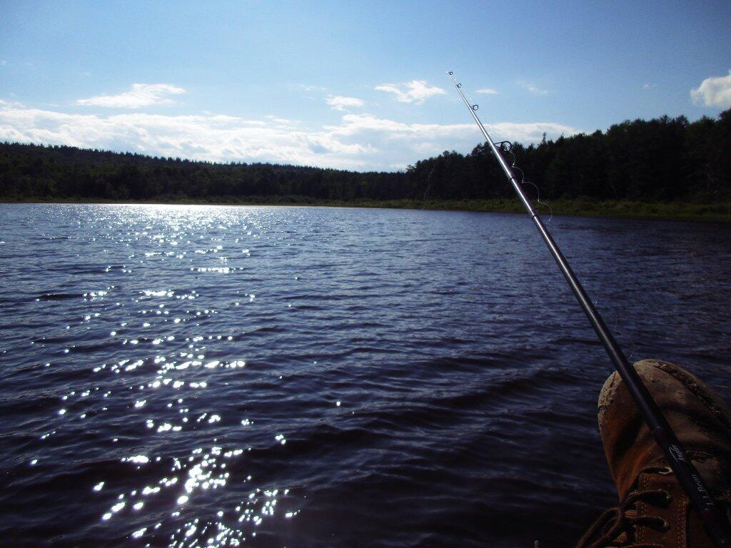 Photo: Fishing In Beaver Pond