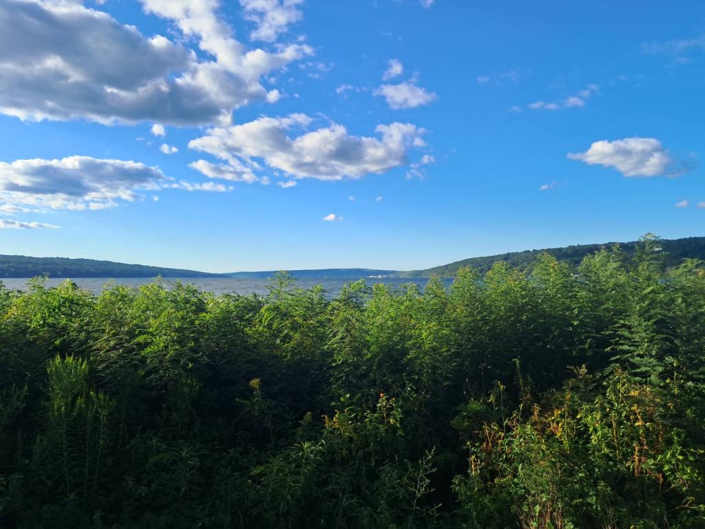Photo: Cayuga Lake Photo: Cayuga Lake