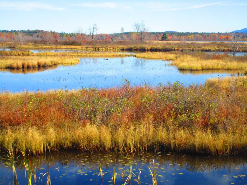 Photo: Raquette River