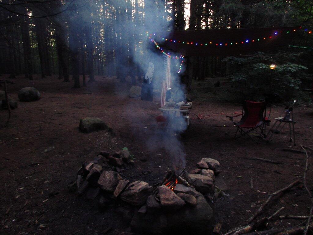 Photo: Wet Firewood