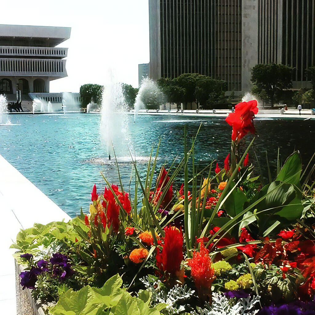 Photo: Flowers