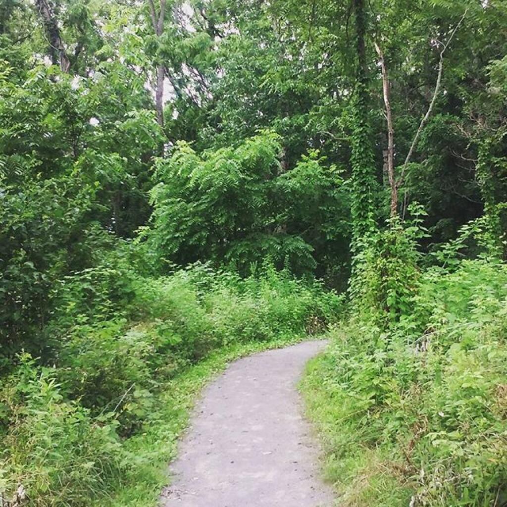 Photo: Exploring Montezuma Aubodon Center Trail Photo: Exploring Montezuma Aubodon Center Trail