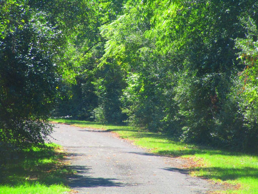 Photo: Old Road