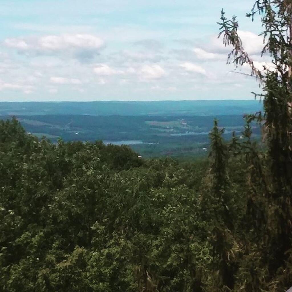 Photo: Lamoka Lake from the Tower