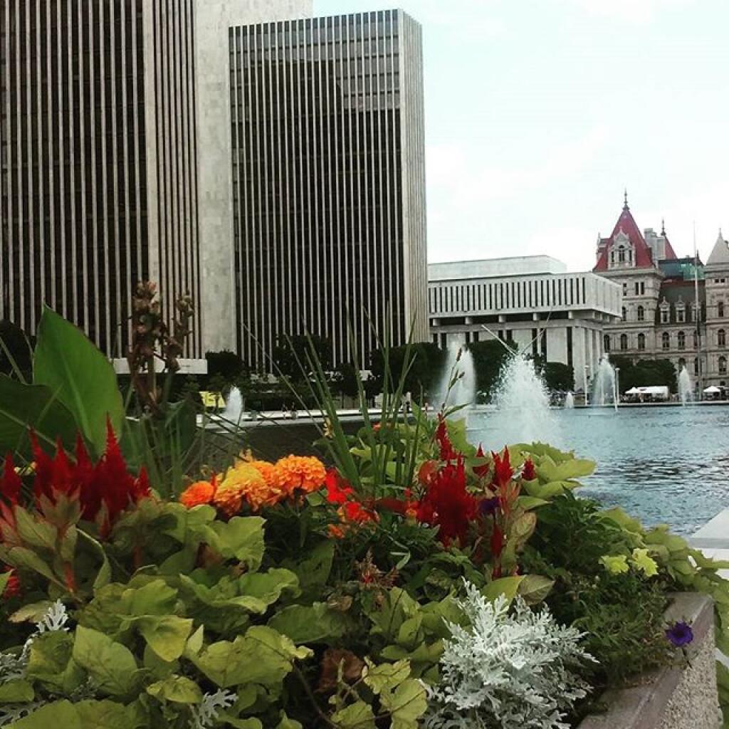 Photo: Flowers