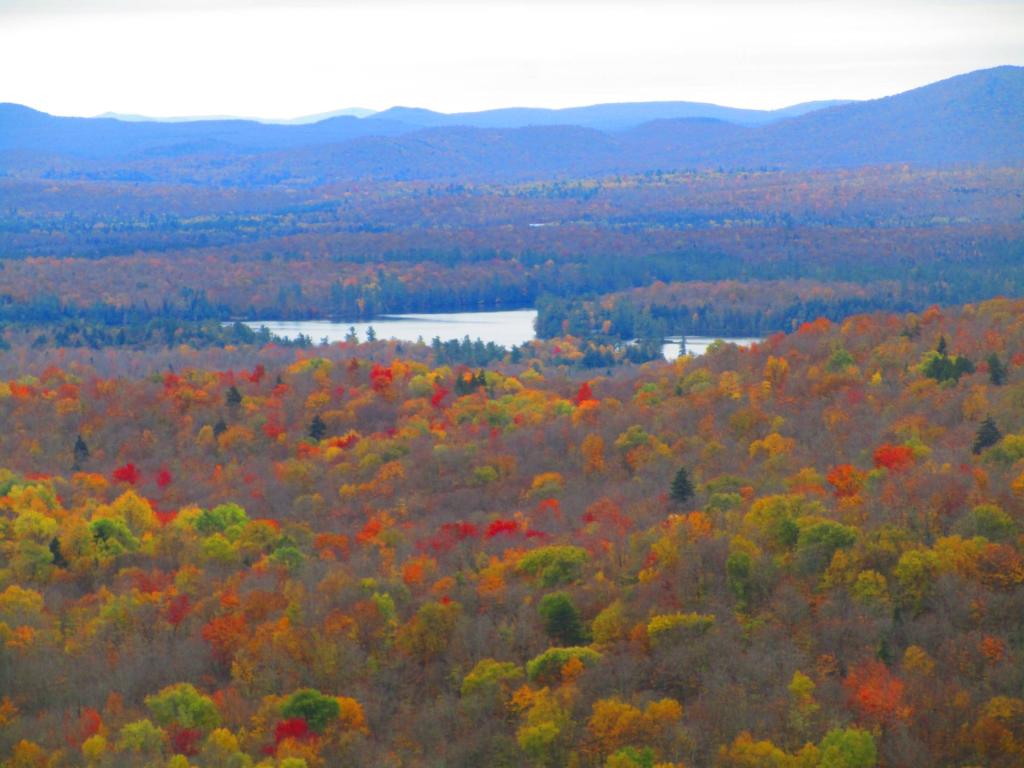 Photo: Wolf Pond from Floodwood Mountain