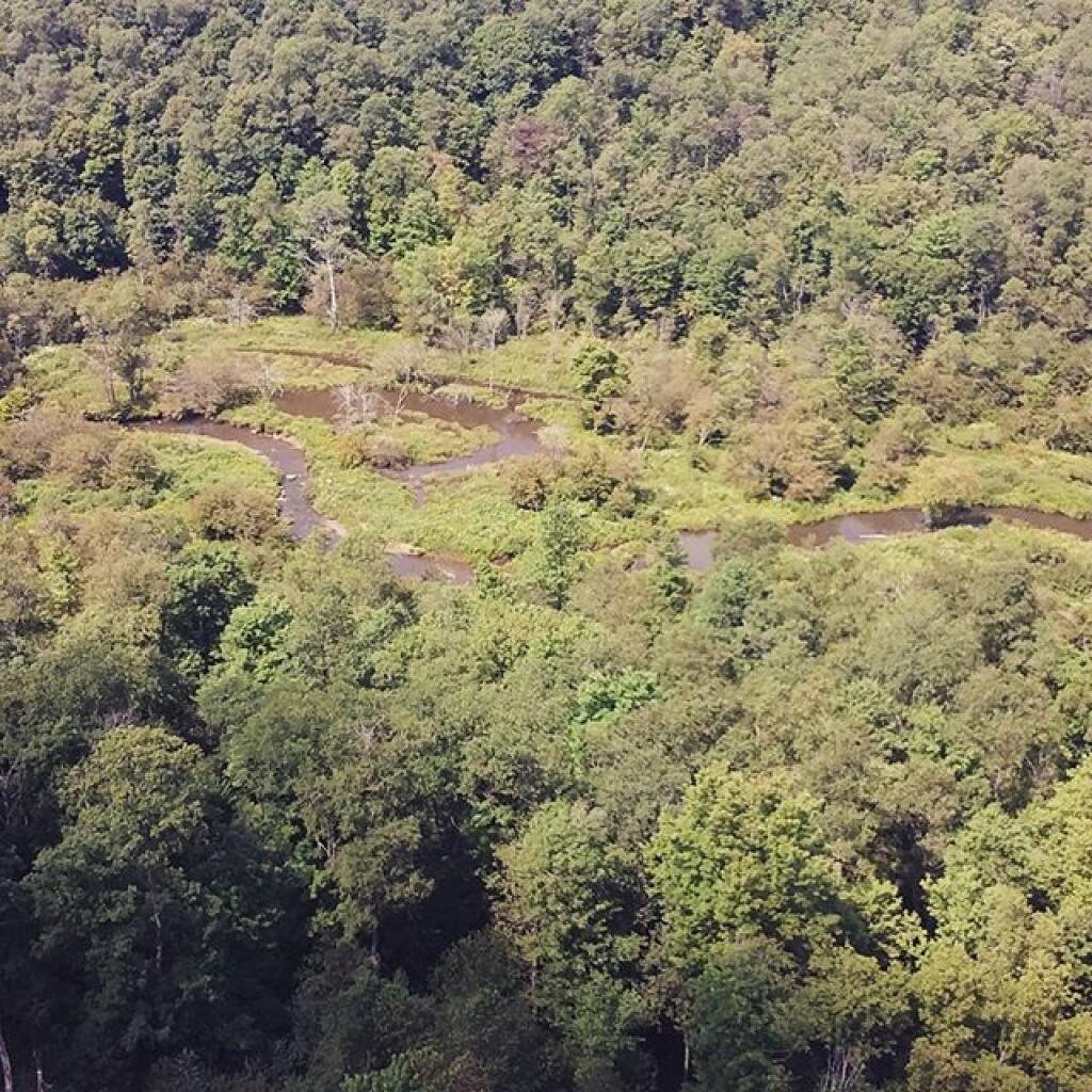 Photo: Kinzua Creek