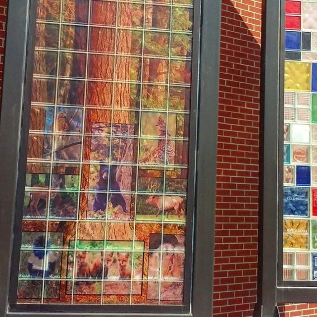 Photo: Murals