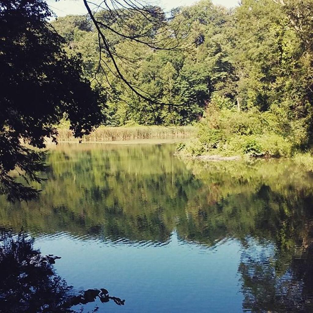 Photo: Glen Creek Lower Reservoir