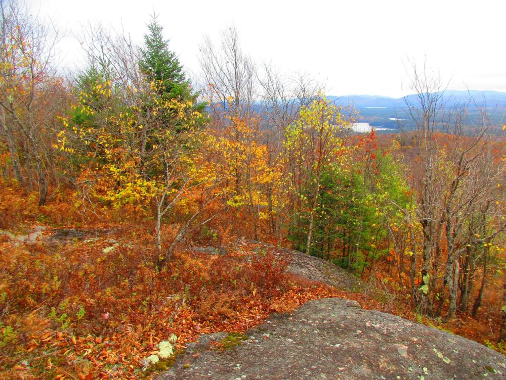 Photo: Summit of Floodwood Mountain