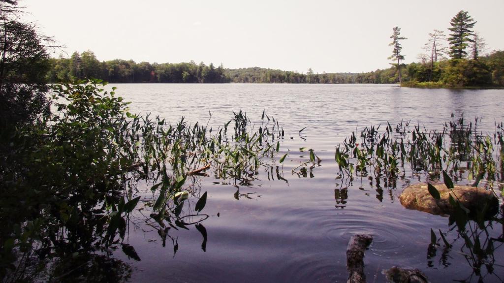 Photo: North across Spectacle Lake