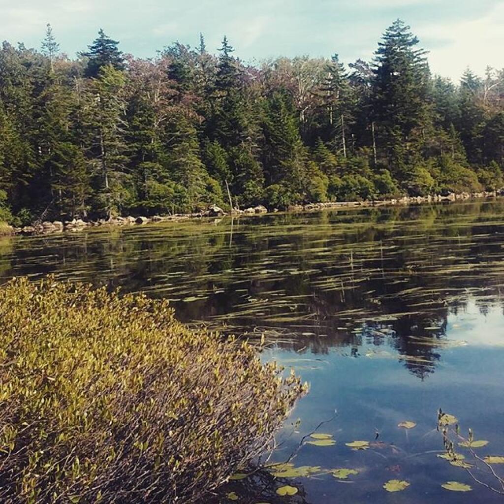 Photo: Northern top of Branch Pond