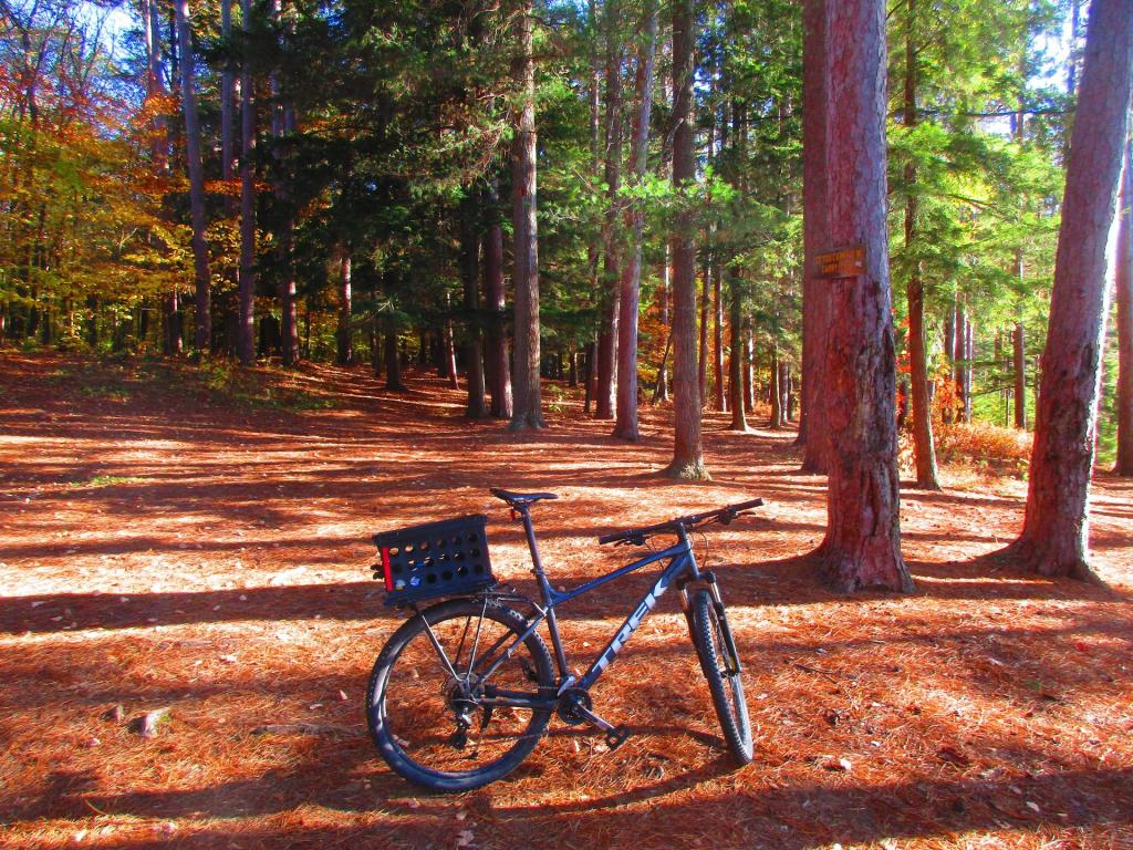 Photo: Exploring Little Green Pond Campsites