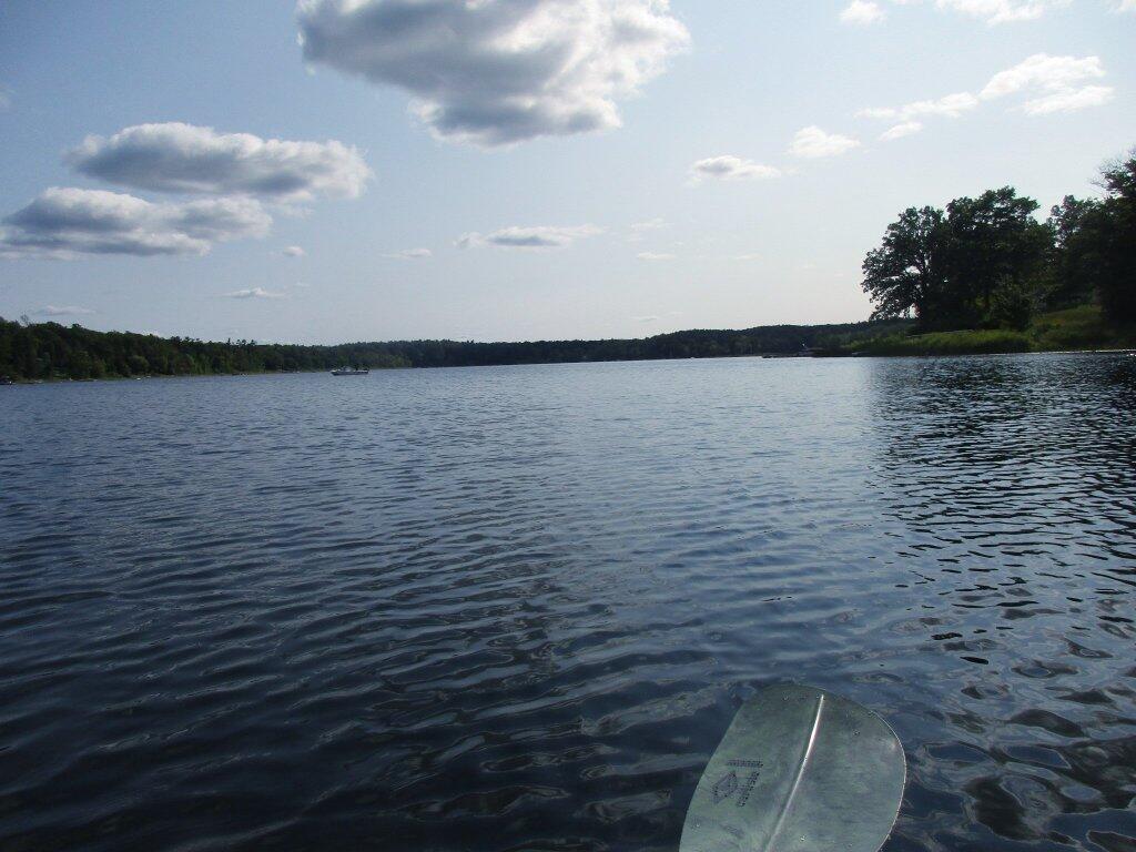 Photo: Pretty Green Paddle