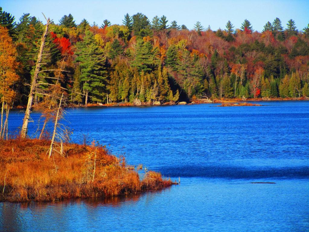 Photo: Little Clear Pond