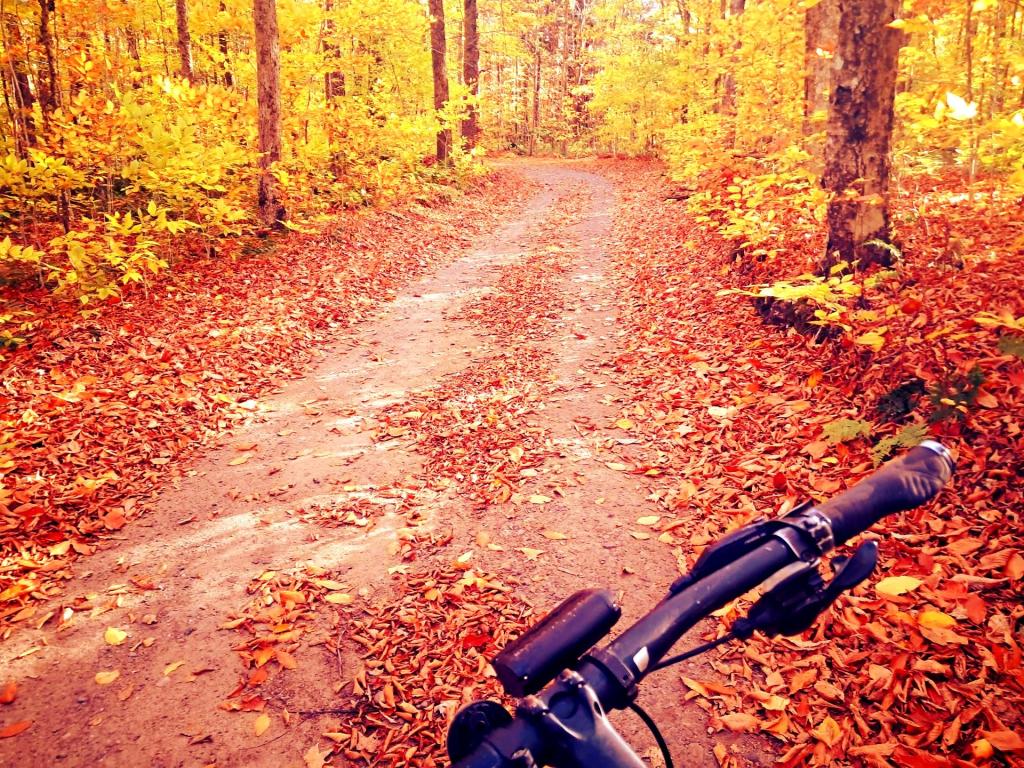 Photo: Little Green Pond Access Roads
